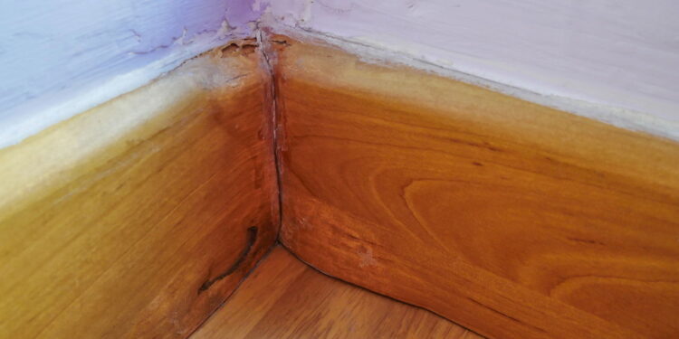 Técnica prática que limpa rodapés sem esforço físico ou dores nas costas