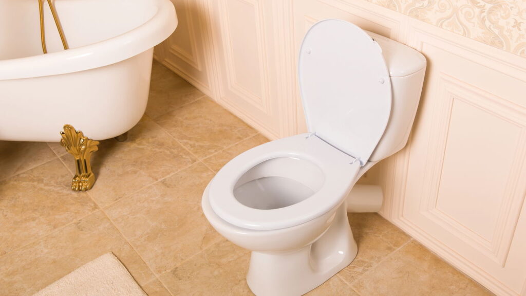 O jeito mais eficaz de tirar sarro do vaso sem usar química pesada