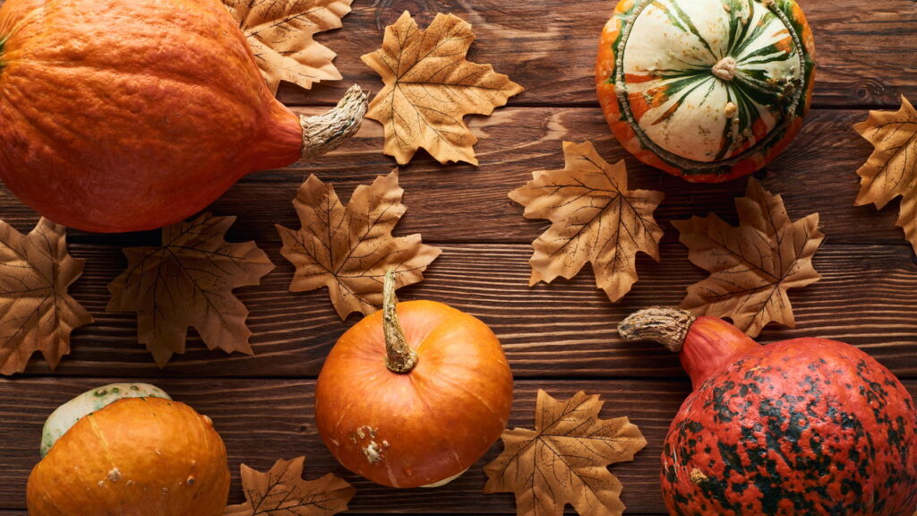 Fruta versátil na culinária desperta curiosidade no cultivo domestico