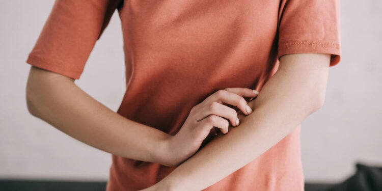 Alergia nunca mais: 5 plantas incríveis que funcionam como filtros naturais para o ar!