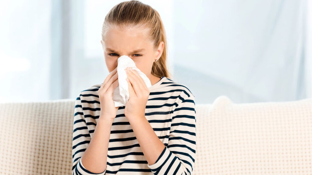 Alergia nunca mais: 5 plantas incríveis que funcionam como filtros naturais para o ar!