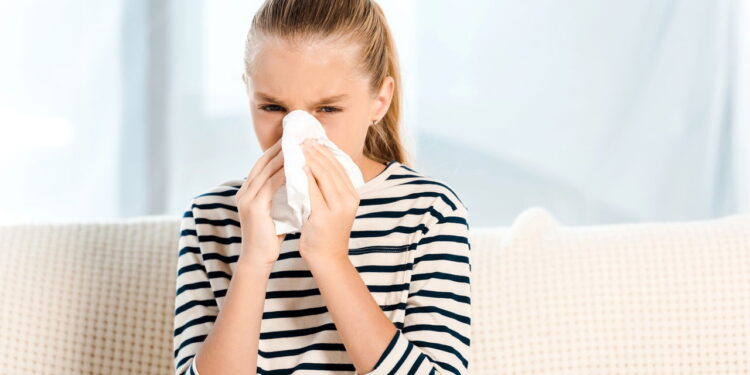 Plantas que aliviam sintomas de alergias com benefícios naturais