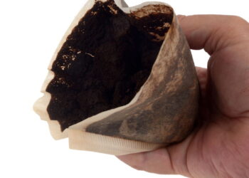 O segredo escondido na borra de café que quase ninguém aproveita