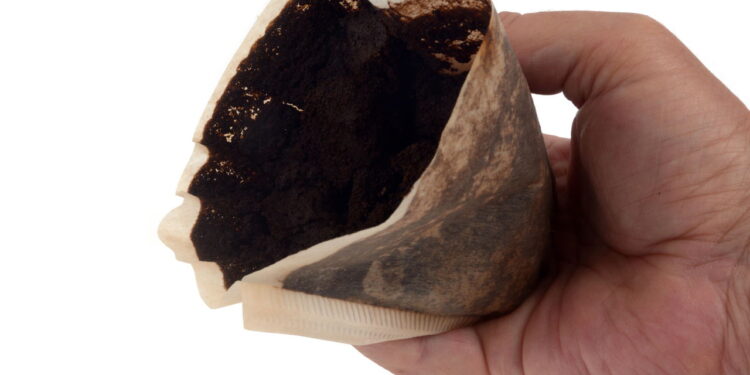 O segredo escondido na borra de café que quase ninguém aproveita