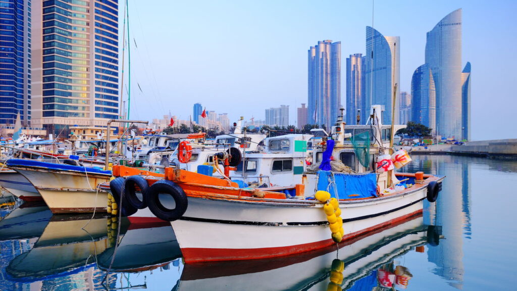 Destino coreano está virando o novo queridinho dos internautas!