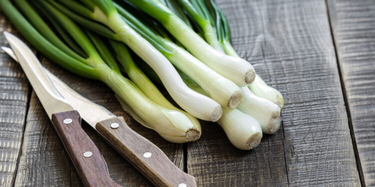 Hortaliça aromática amplamente usada como tempero é ideal para ter em casa