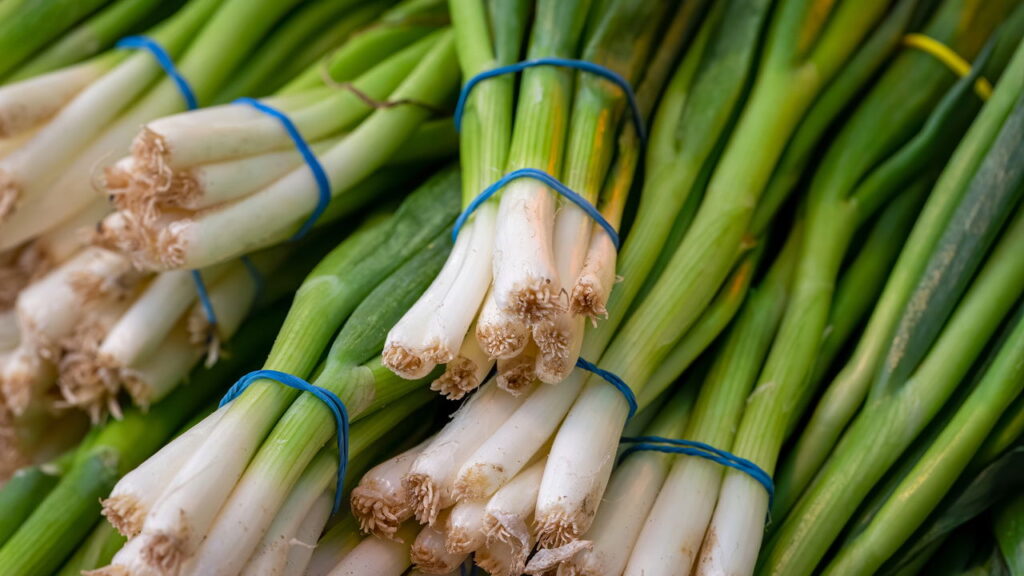 Hortaliça aromática amplamente usada como tempero é ideal para ter em casa