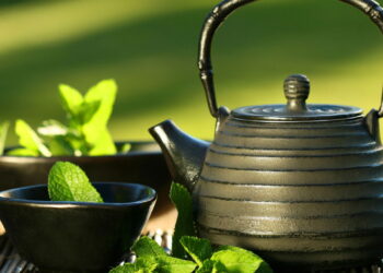 As folhas dessa erva possuem propriedades curativas que aliviam dores de cabeça!