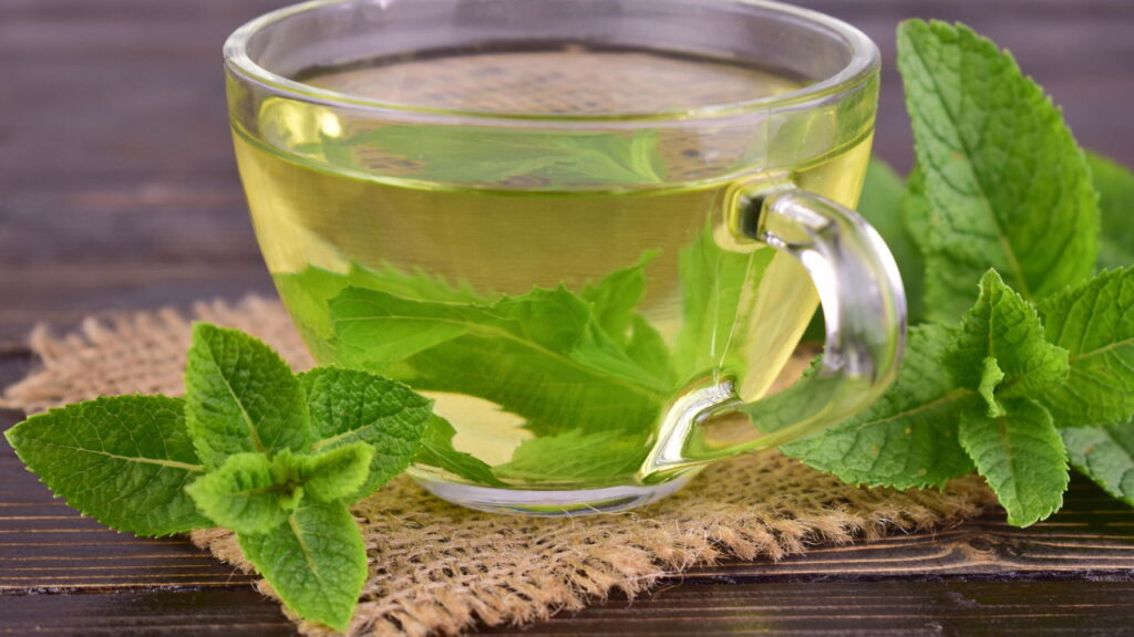 As folhas dessa erva possuem propriedades curativas que aliviam dores de cabeça!