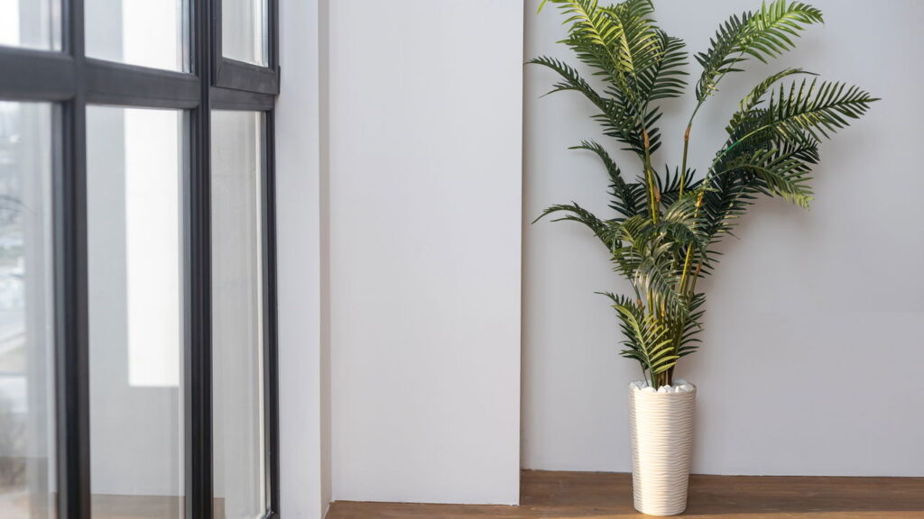 As 3 plantas que se adaptam a ambientes pequenos e modernos