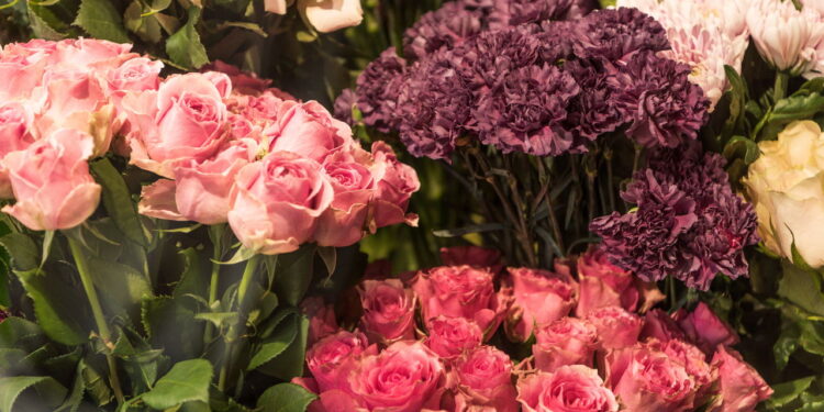 Flor com perfume sutil e presença vibrante pode estar em seu jardim com essas dicas