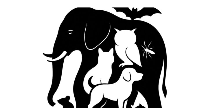 Você consegue encontrar todos os animais escondidos na imagem em apenas 20 segundos?