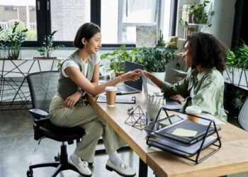As 4 plantas que ajudam a melhorar a produtividade no trabalho ou estudo