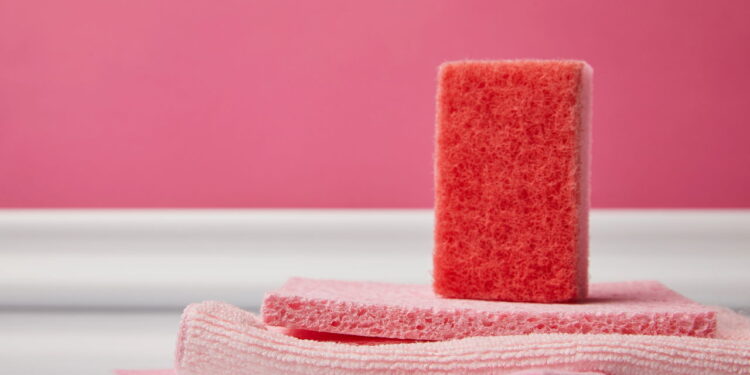 Um minuto no micro-ondas pode mudar a higiene da sua casa