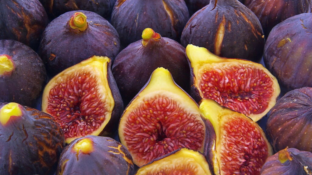 Fruta popular pelo benefício a saúde é ótima para cultivar em casa