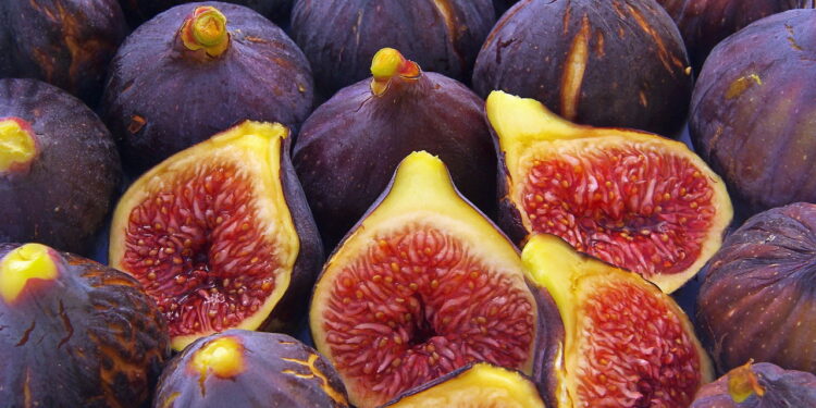 Dicas para conservar figos maduros e manter o sabor doce