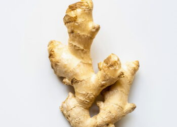 A verdade sobre usar gengibre para dores no corpo — quando ajuda e quando não faz efeito