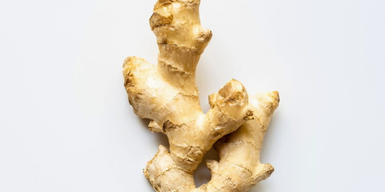 A verdade sobre usar gengibre para dores no corpo — quando ajuda e quando não faz efeito