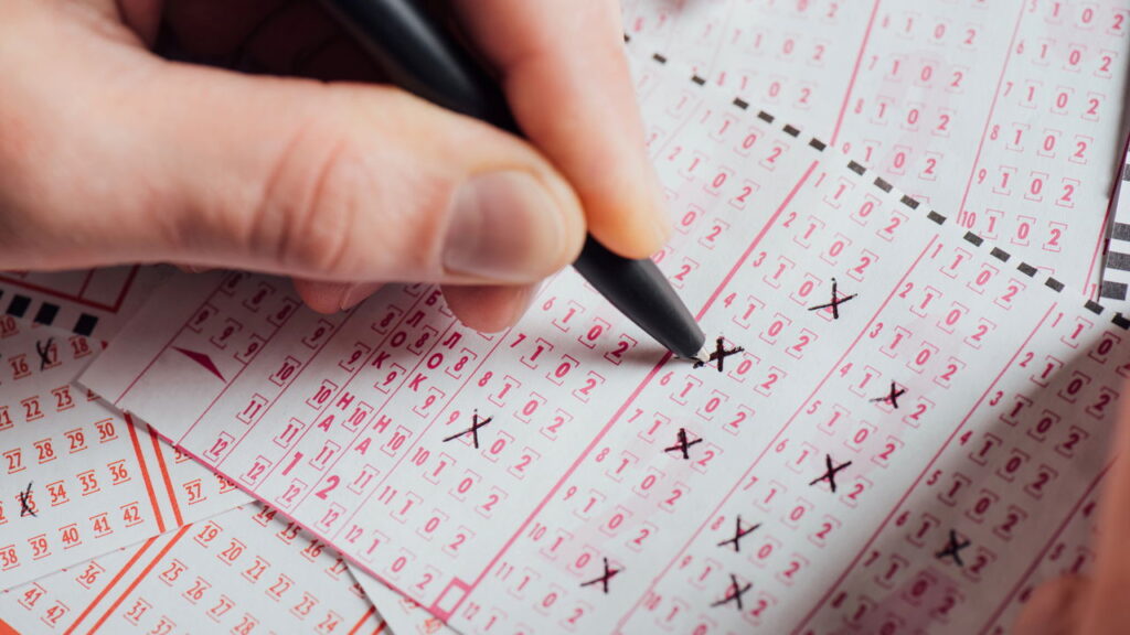 Apostador de Salvador se tornou um dos 5 milionários do prêmio de R$ 588 milhõesApostador de Salvador se tornou um dos 5 milionários do prêmio de R$ 588 milhões