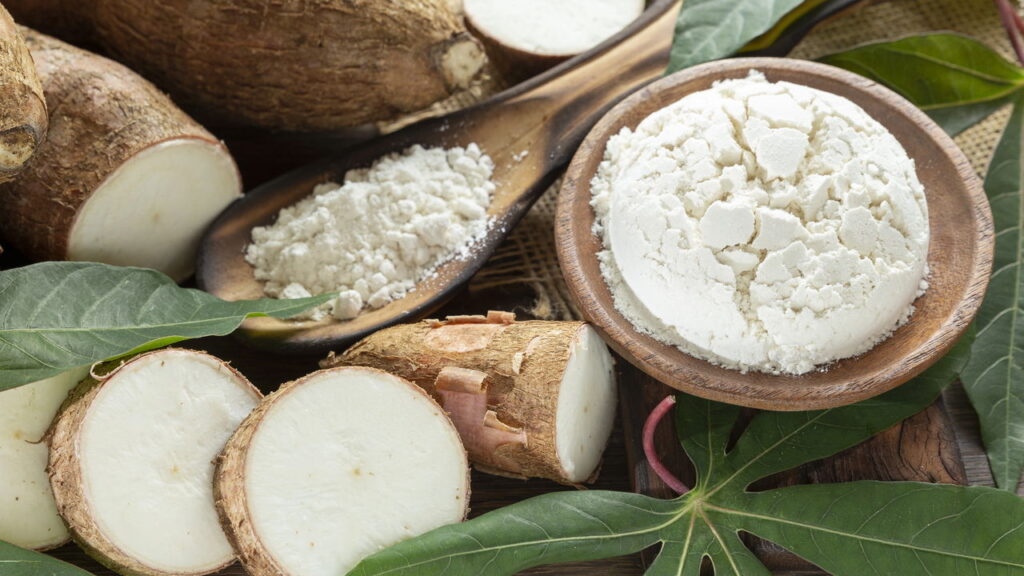 Além de versátil na cozinha essa planta é fácil de cultivar em casa com bons resultados!