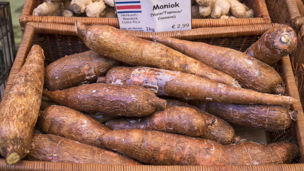 Planta muito amada na culinária também é indispensável no cultivo