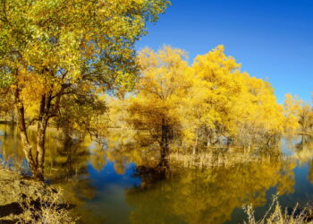 Paisagens surreais tradições milenares e noites estreladas no coração da Ásia