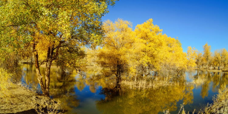Paisagens surreais tradições milenares e noites estreladas no coração da Ásia