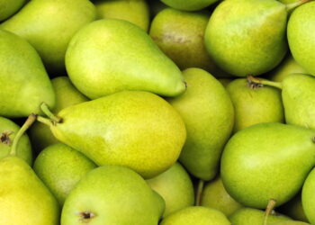 Fruta com sabor doce e textura crocante além de ser super saudável é fácil de cultivar