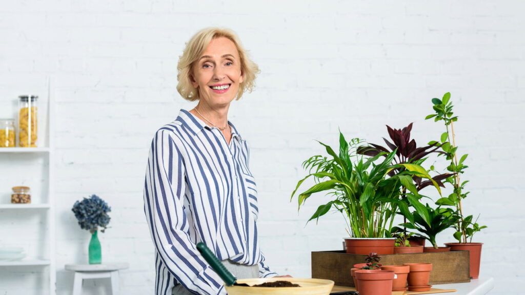 Com cores vibrantes essa flor ilumina seu jardim e não tem complicações no cultivo