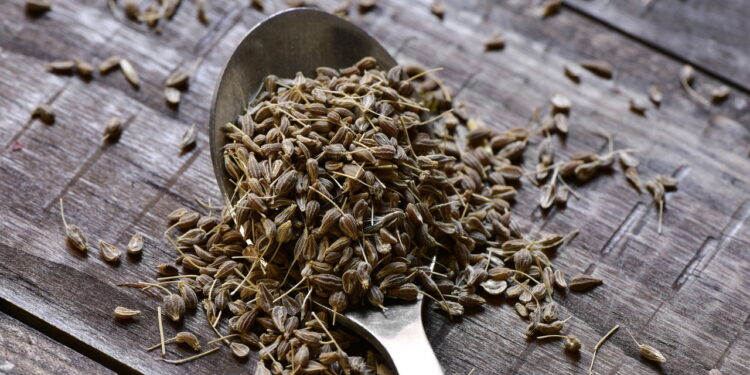 As propriedades curativas da erva-doce ajudam na digestão e em inflamações