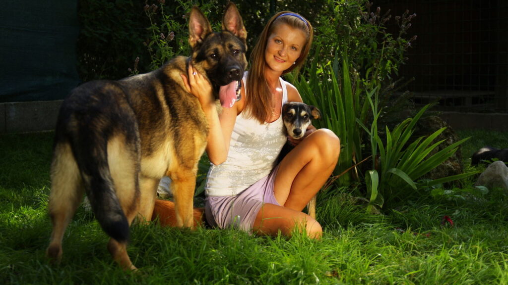 Como a companhia de um cachorro pode aliviar a depressão