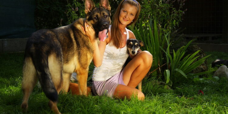 Como a companhia de um cachorro pode aliviar a depressão