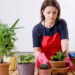 As 4 plantas que ajudam a aumentar a umidade do ar e prevenir resfriados!