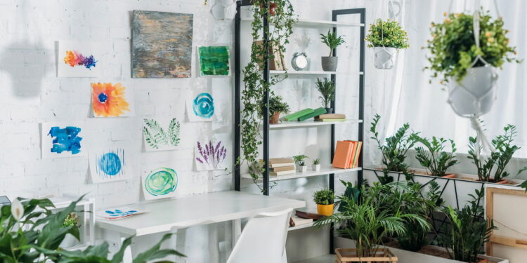 As 5 plantas que ajudam a afastar energias negativas da sua casa!