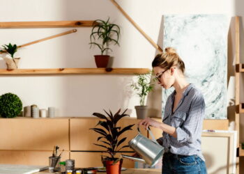 As 5 plantas mais do mundo para você que é iniciante e quer começar nesse ramo!