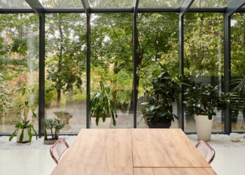 As 5 plantas que você pode cultivar na varanda e ainda ter um jardim vibrante