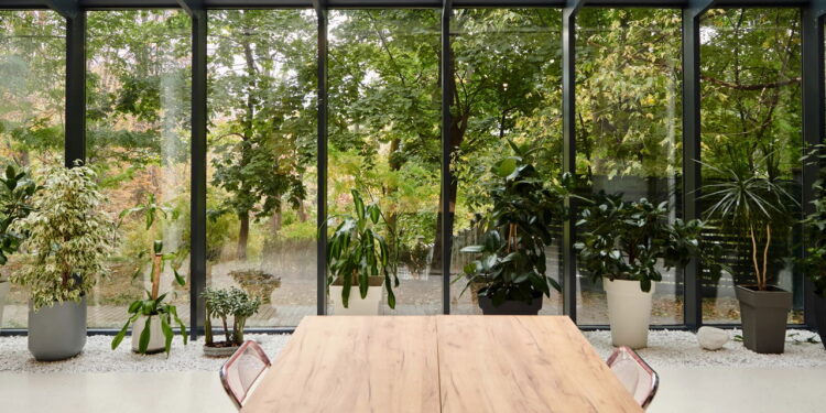 As 5 plantas que você pode cultivar na varanda e ainda ter um jardim vibrante