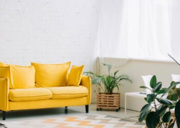 Seu jardim na parede: 10 plantas pendentes para espaços pequenos e aconchegantes