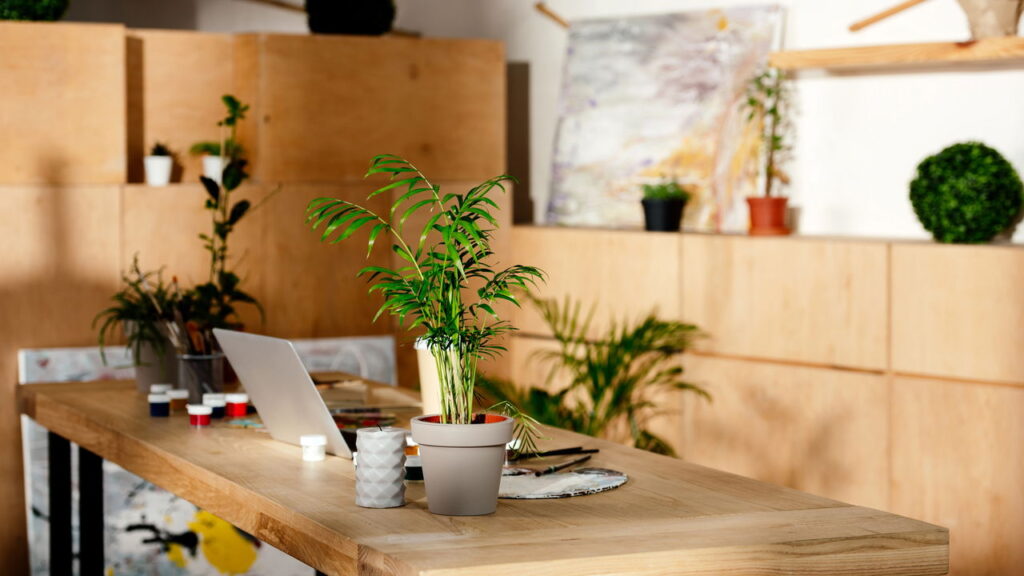 Seu jardim na parede: 10 plantas pendentes para espaços pequenos e aconchegantes