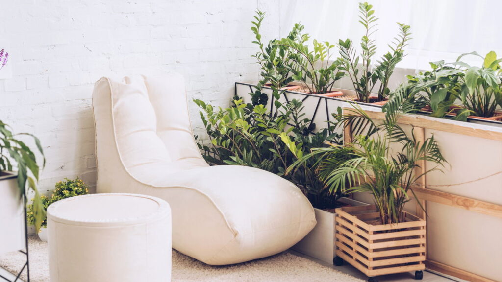Respire melhor com as 6 melhores plantas que limpam o ar da sua casa!