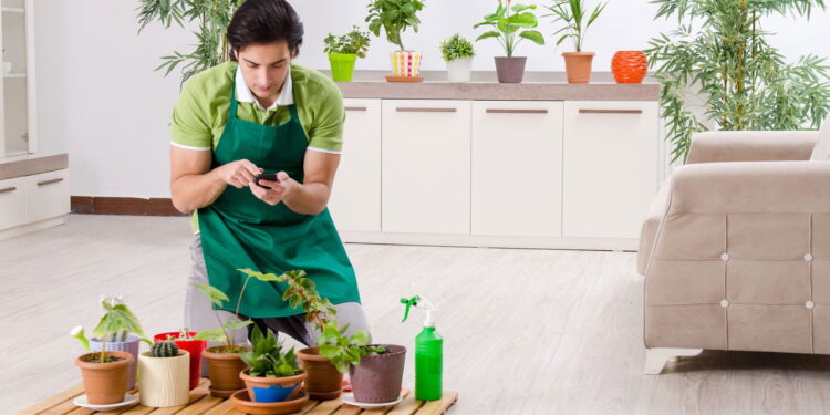 As 3 plantas que floriram e ficam visualmente atraentes mesmo em clima frio!