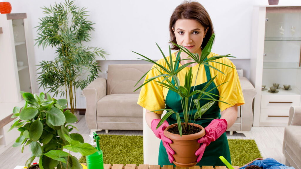 As 3 plantas que floriram e ficam visualmente atraentes mesmo em clima frio!