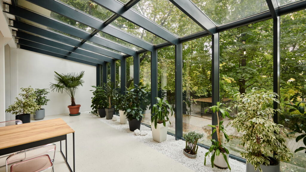 As 5 plantas que ajudam a afastar o estresse e promovem o relaxamento!