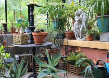 As 5 plantas que você não deve ter em casa de hipótese alguma!