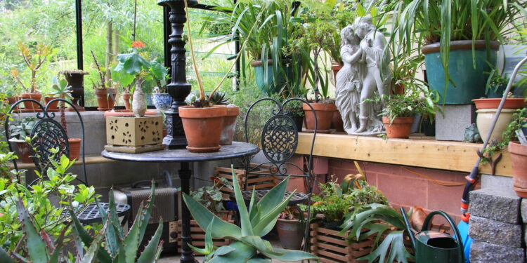 As 5 plantas que você não deve ter em casa de hipótese alguma!