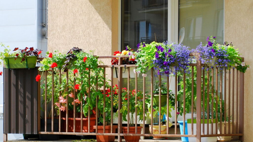 As 5 plantas que você pode cultivar na varanda e ainda ter um jardim vibrante