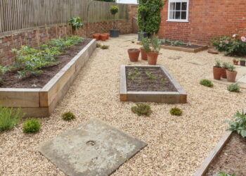 As 7 plantas ideais para ambientes externos e expostos ao sol