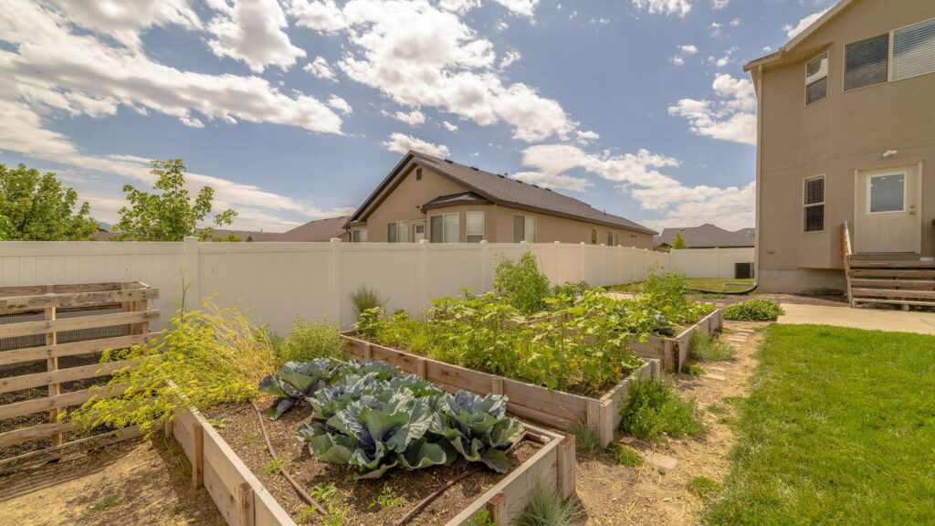 As 7 plantas ideais para ambientes externos e expostos ao sol