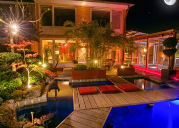 As 3 plantas que sobrevivem em ambientes escuros da sua casa