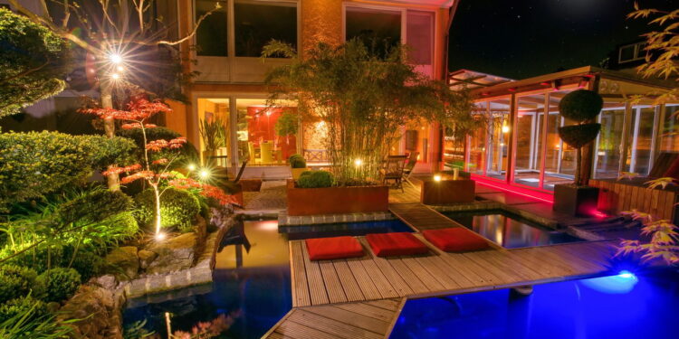 As 3 plantas que sobrevivem em ambientes escuros da sua casa